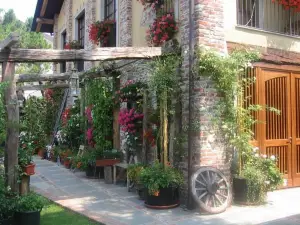 La Vià