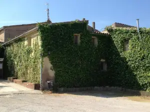 El Celler de la Guàrdia