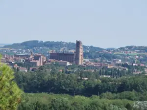 Chambres d'Hôtes le Clos Ambels