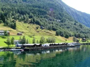 Nesheim Hytter & Camping