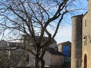 La Roulotte d'Alcas