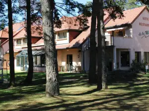 Hôtel Restaurant Logis la Méridienne