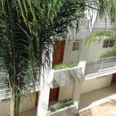 莱昂假日二星级\/经济五星级\/豪华免费WIFI游泳