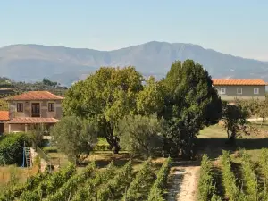 Casa de Sao Miguel Douro