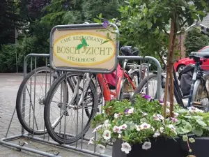 Boschzicht