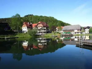 Seegasthof Breineder - Familien & Seminarhotel