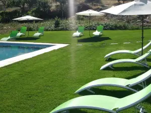 Quinta Rota d' Oliveira