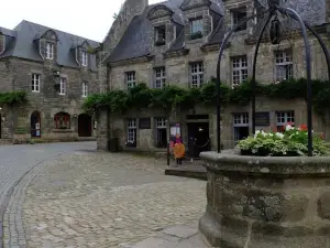 Au Calme à 10mn des Baies de Douarnenez et Audierne Avec Cuisine à Disposition