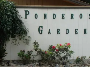Ponderosa Gardens Motel