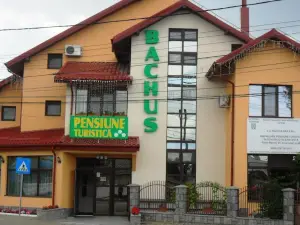 Pensiunea Bachus