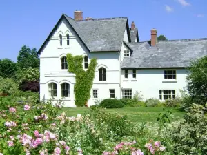 The Forest Country House B&B