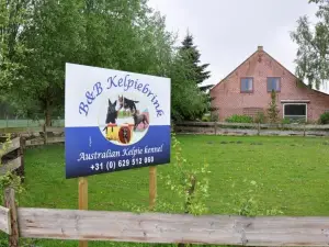 B&B Kelpiebrink