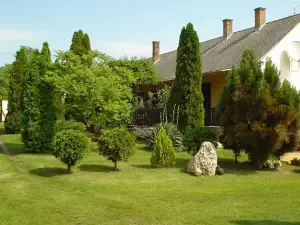 Orokzold Apartmanok Balatonfenyves