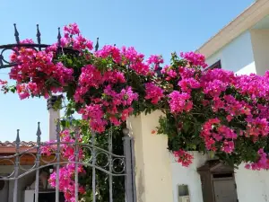B&B Mitzixeddas