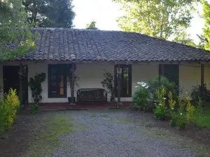 La Casa de Adobe Natural y Más