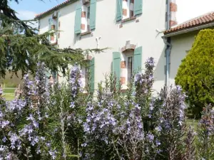 Chambres d'hôtes le Cartounier