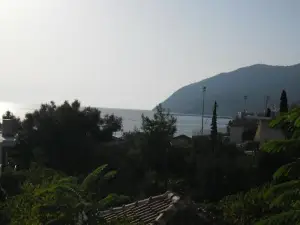 Litsa