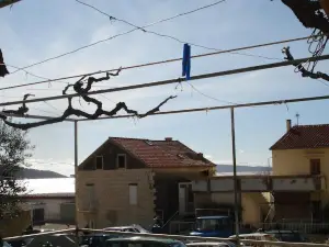 Studios Ana Mari
