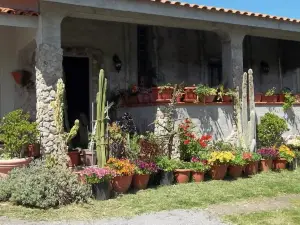 Il Vecchioliveto di Ornella