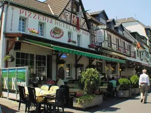 Hotel Vater Rhein