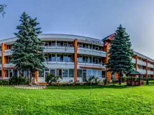 Art Hotel Superior