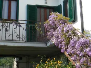 La Corte del Borgo