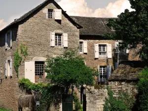 Maison d'Hôtes la Singulière