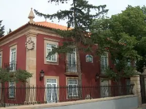 Falcao de Mendonca