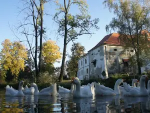 Piotrowice Nyskie Palace