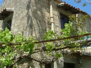 Antico Borgo