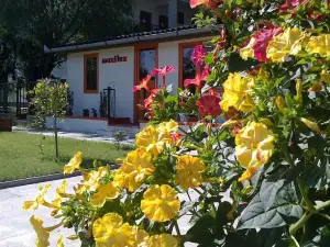 Maxilux Studio