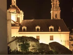 Casa Spa la Agueda y Robledo