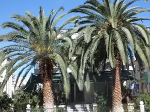 Noufara Hotel