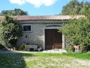 Agriturismo Testone