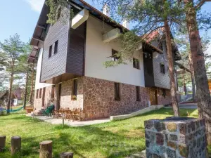 Vila Plamenac