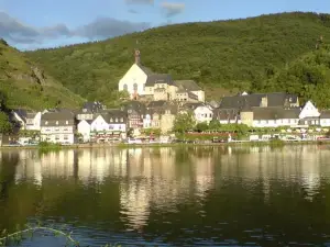 Moselstern Hotel Fuhrmann