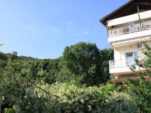 Fasoli Studios
