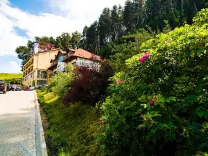 BellaVista Brasov