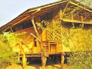 Grillo Tres Puntas Eco-Hostel
