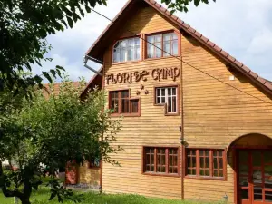Pensiunea Flori de Camp