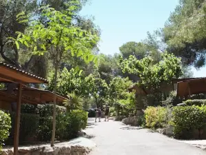 Camping Caledonia