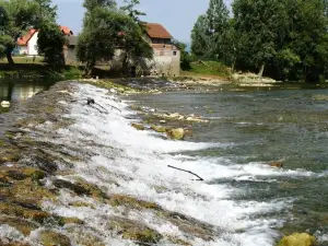 Fortun Estate - Apartmaji ob Reki Kolpi