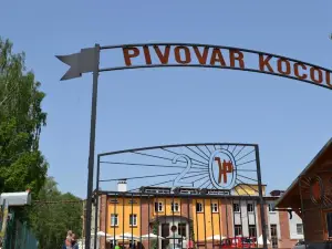 Pivovar Kocour