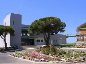 Mazagonia