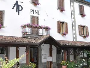 Hotel Pini