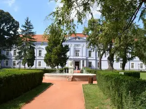 Hotel Kaštieľ Mojmírovce