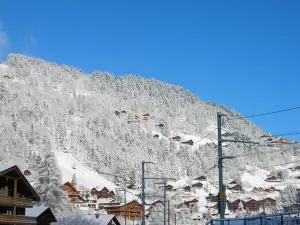 Backpacker le Petit Baroudeur