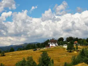 La Conac