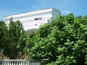 Apartments Tomi