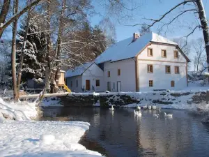BioFarma Dolejsi Mlyn